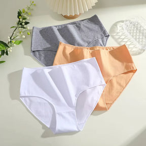 Kit Calcinhas Comfort Plus - [Compre 1 leve 4 + Frete Grátis]